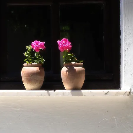 Rhapsody Кайакёй