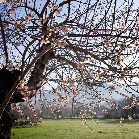 Гостевой дом Rhapsody