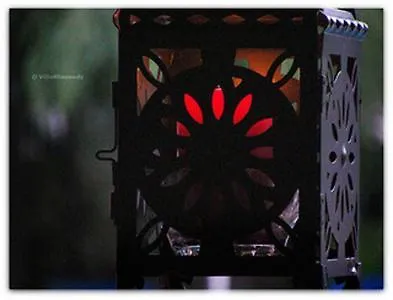 狂想曲别墅膳食公寓 招待所