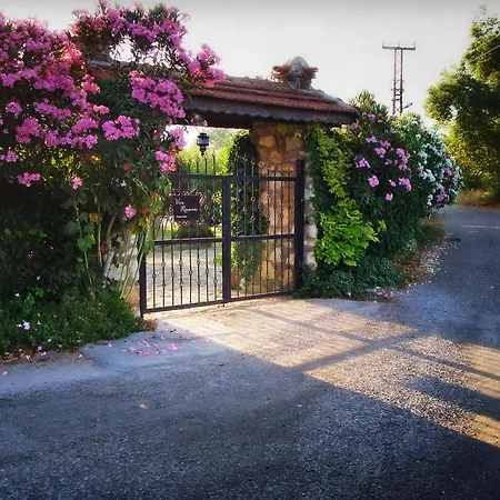 招待所 狂想曲别墅膳食公寓